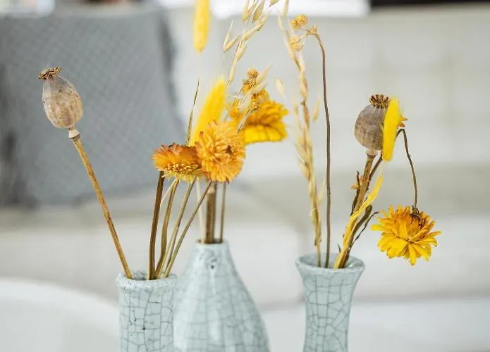 Center شقة أبلدورن